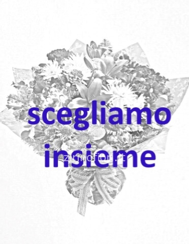 Omaggio da concordare a telefono al 3480304373